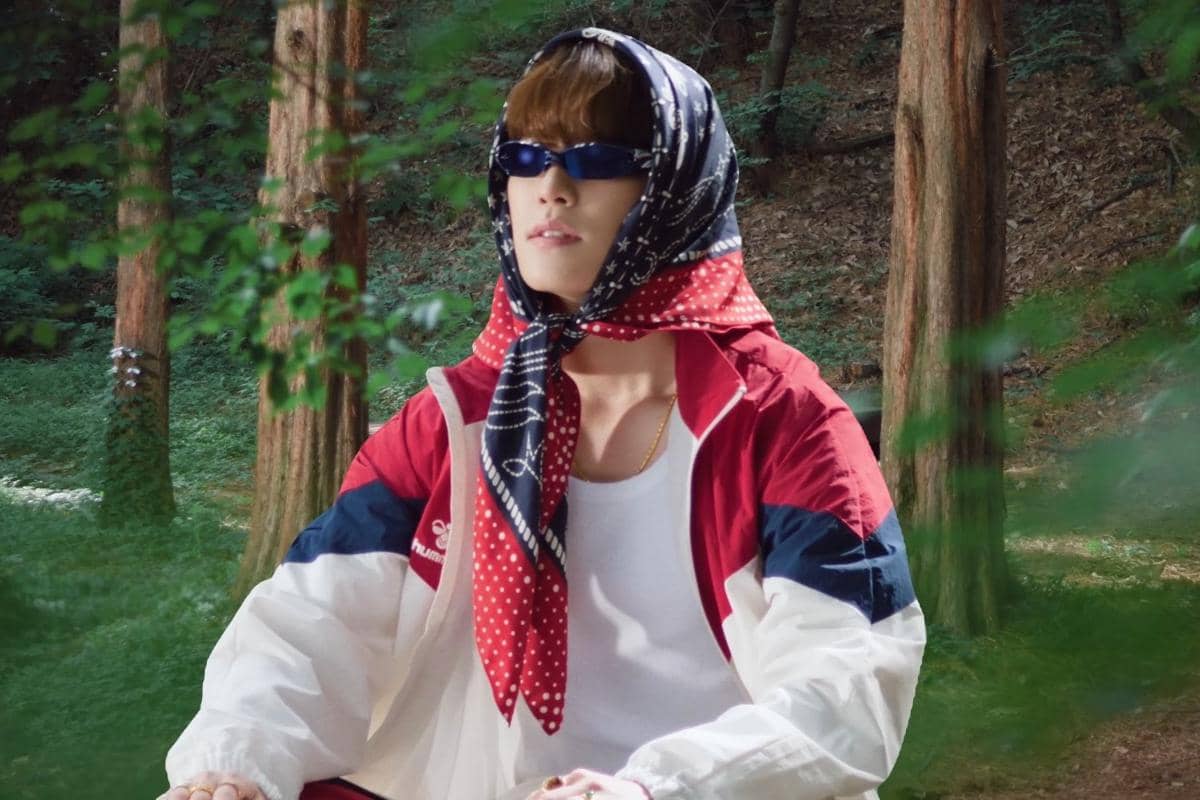 Dino SEVENTEEEN (Picheolin) di MV Micheo Micheo (youtube.com/HYBE Labels)