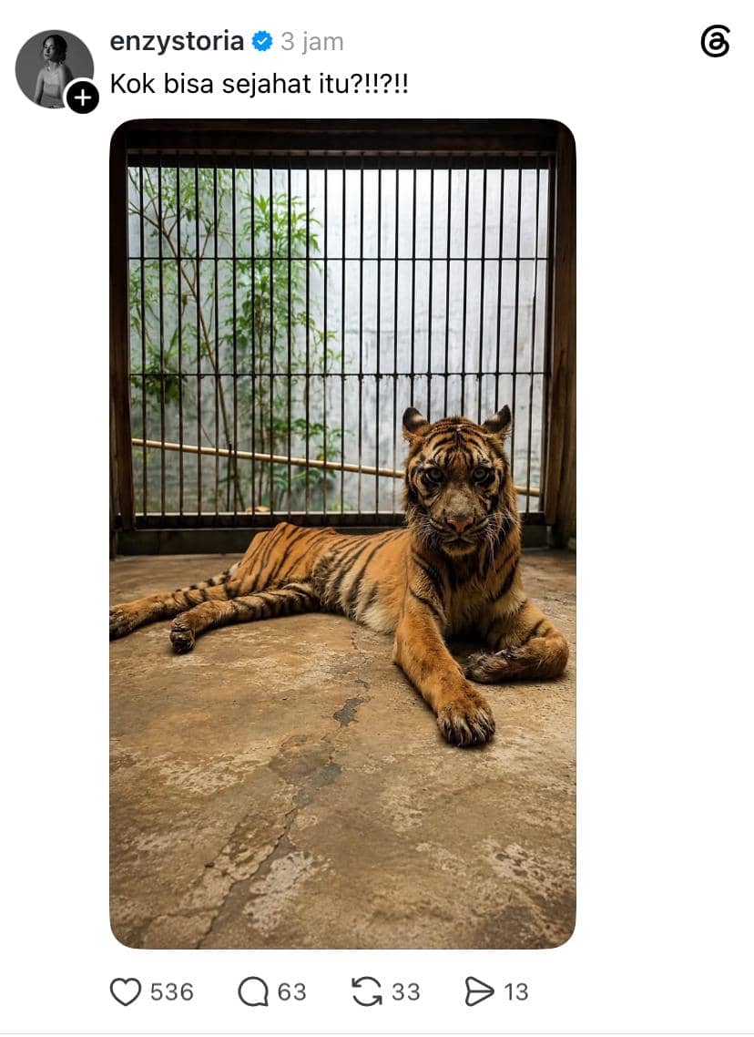 Seekor harimau berbaring di lantai kandang dengan ekspresi lemah di balik jeruji besi, menunjukkan suasana sedih dan terkurung.