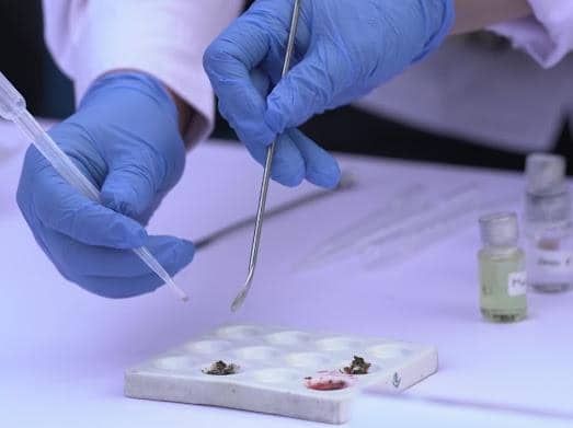 Petugas laboratorium mengenakan sarung tangan biru sedang melakukan uji kandungan narkoba menggunakan pipet dan alat logam di BNN Lido, Bogor.