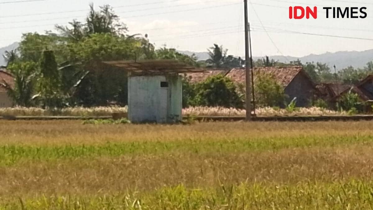 Bangunan kecil dengan panel surya rusak di tengah area persawahan kering dengan latar rumah dan pepohonan di bawah langit cerah.