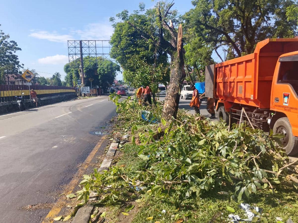 Petugas DLH membersihkan dan mengevakuasi pohon tumbang di pinggir jalan setelah tertabrak truk oranye pada siang hari.