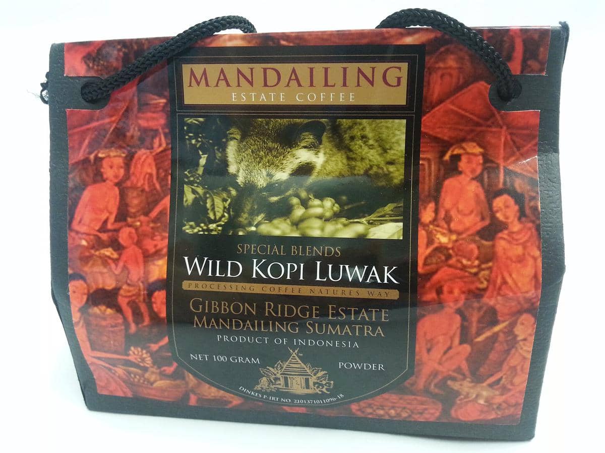 ilustrasi kopi luwak