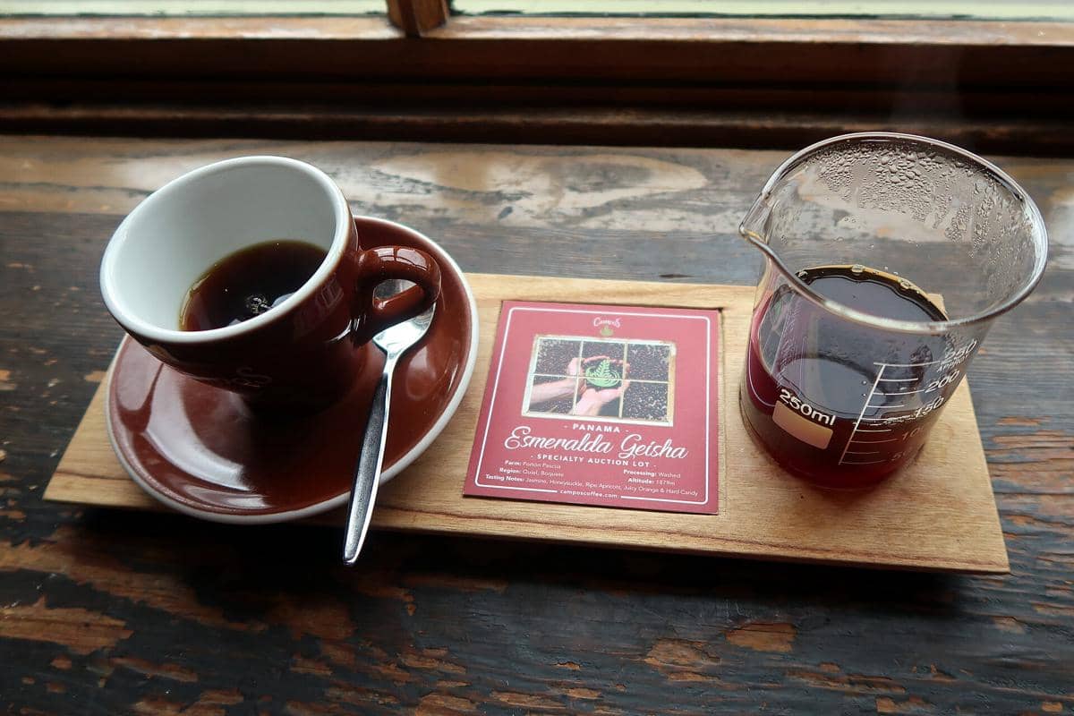 ilustrasi kopi geisha