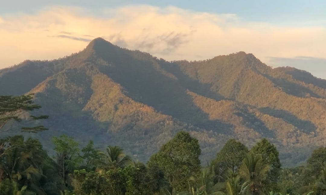 5 Fakta Gunung Aseupan Banten, Rumah Kantong Semar!