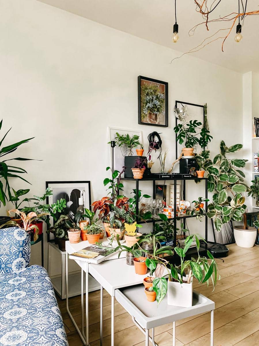 inspirasi penataan plat nook