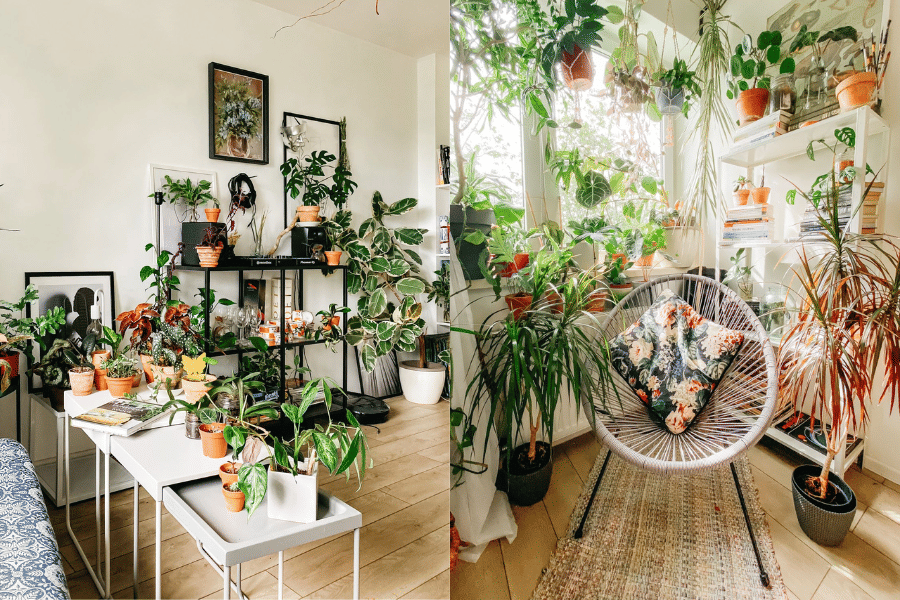 7 Inspirasi Penataan Plant Nook, Rumah Jadi Makin Estetik dan Fresh
