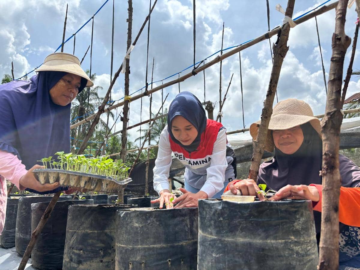 Chaidir Saleh, Beri Sentuhan Manisnya Melon Premium untuk Petani Milenial