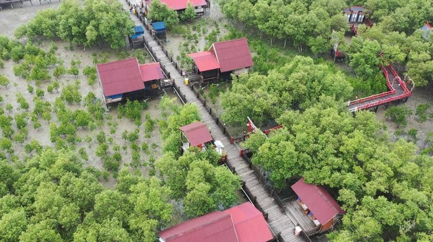 Inalum melakukan konservasi pohon (dok.Inalum)