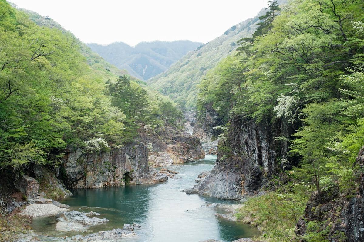 ilustrasi Nikko, Jepang