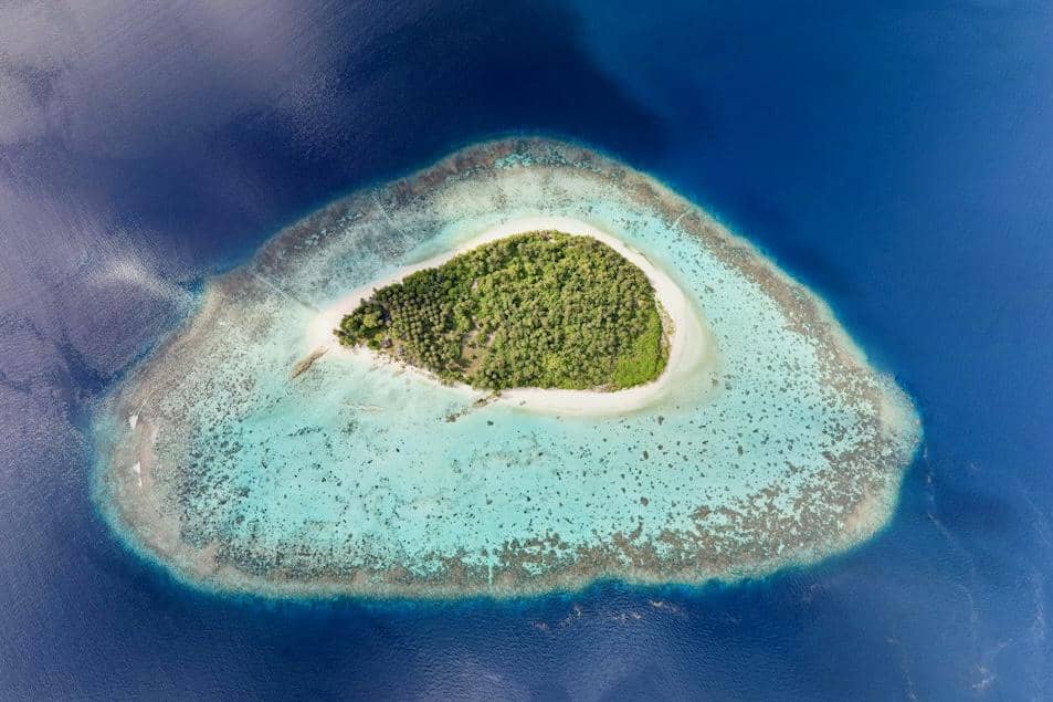 ilustrasi Snake Island