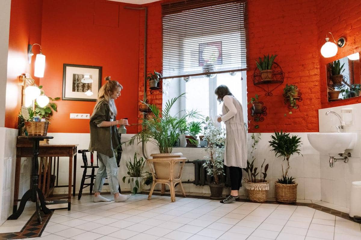 ilustrasi interior rumah gaya biophilic