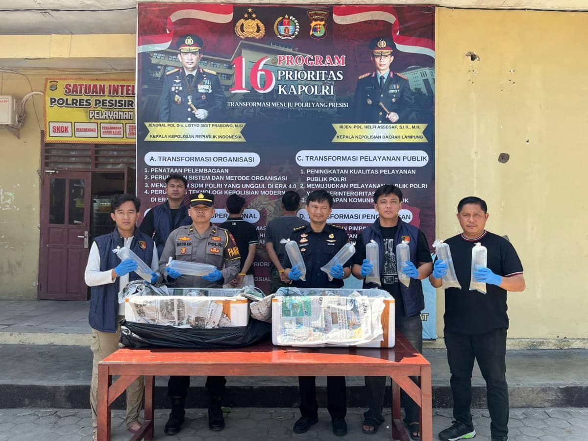Penyelundupan 10 Ribu Benih Lobster Rp1,4 Miliar Digagalkan di Pesibar