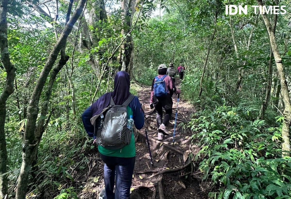 Nilai Transaksi Ekonomi Kelompok Tani Hutan Jatim Tembus Rp644,03 M