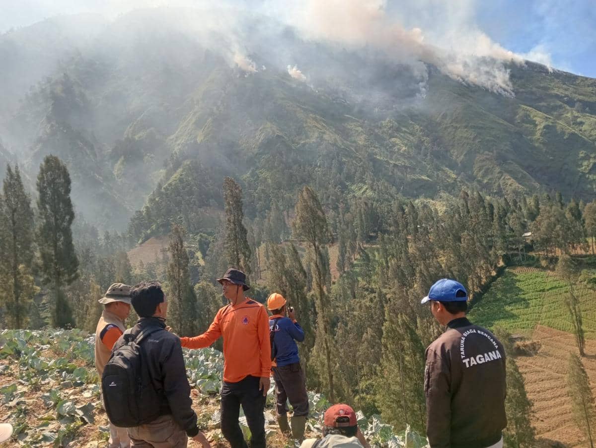 Kawasan Bromo Kebakaran, Petugas Belum Bisa Padamkan Api