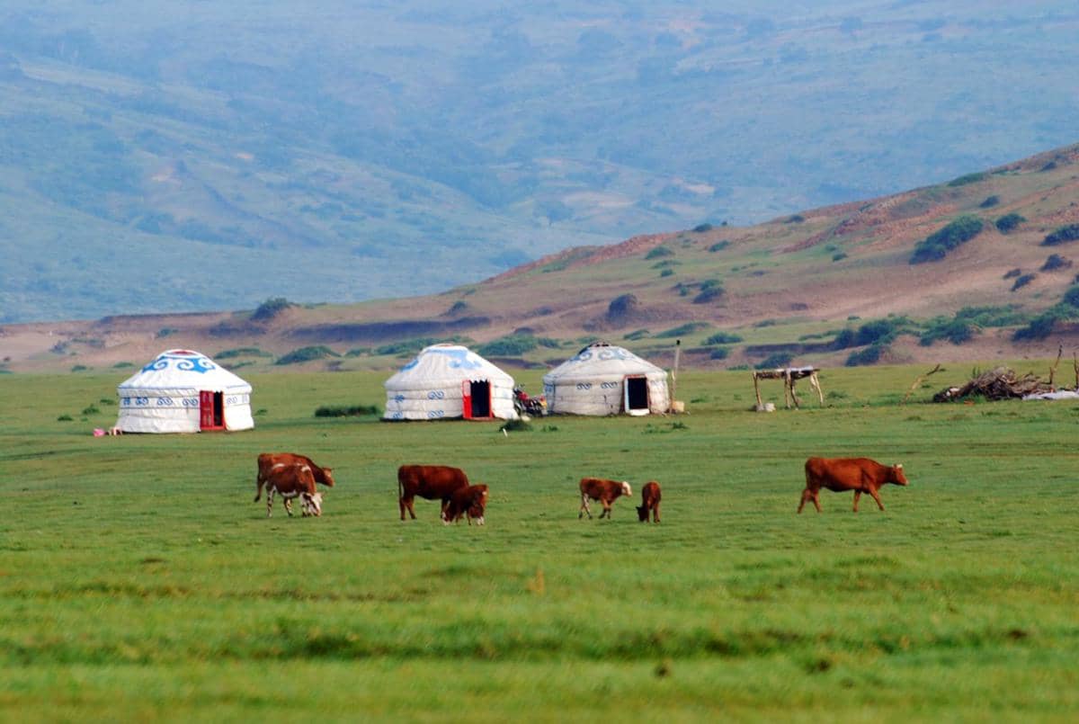 ilustrasi yurt di grassland