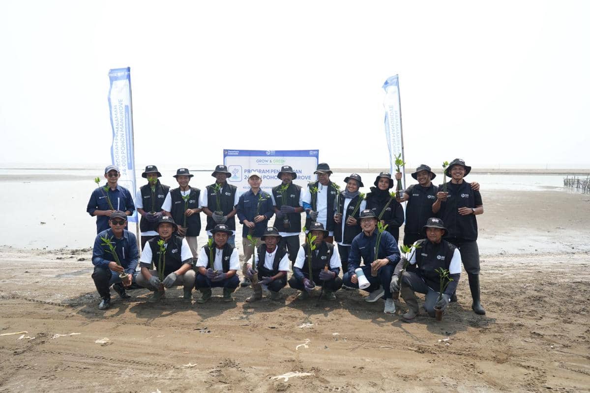 BRI Peduli Tanam 24 Ribu Mangrove untuk Cegah Abrasi dan Serap Karbon