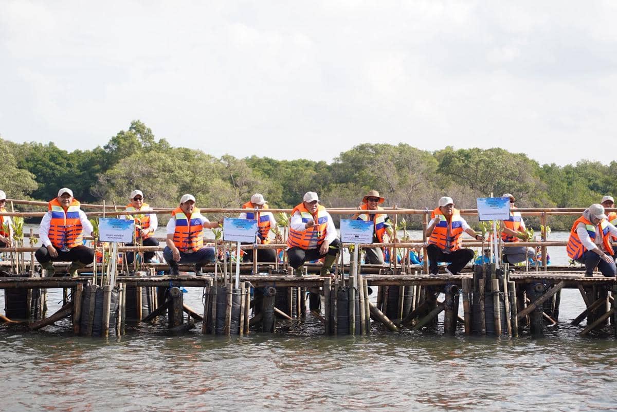 Penanaman 15 Ribu Bibit Mangrove di Kawasan Tahura Ngurah Rai