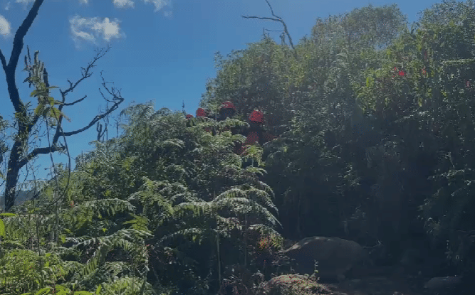 Tim Rescuer Basarnas Makassar mengevakuasi seorang pendaki yang mengalami cedera usai terjatuh dari hammock di Gunung Bulu Baria, Gowa, Sula