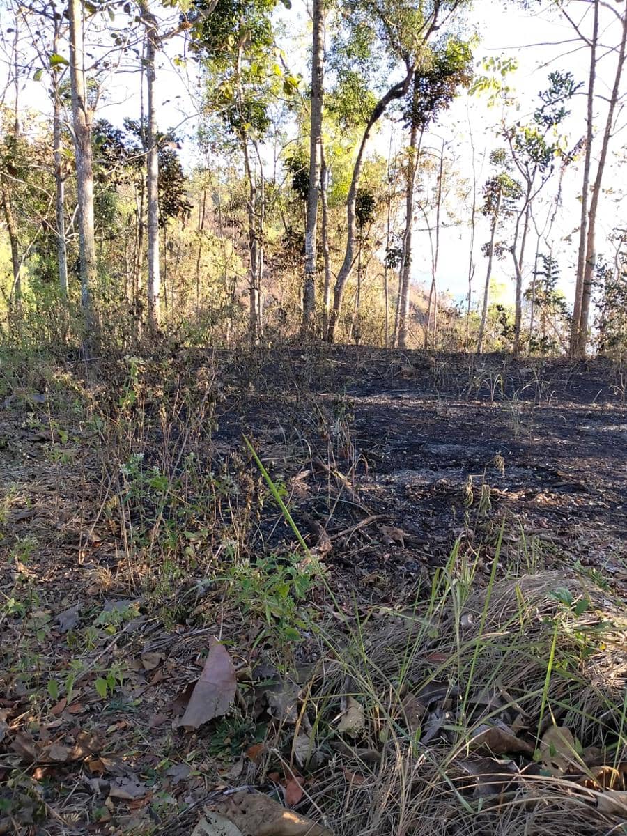 Karhutla Kepung Jatim, 4 Kabupaten Kebakaran dalam Sehari