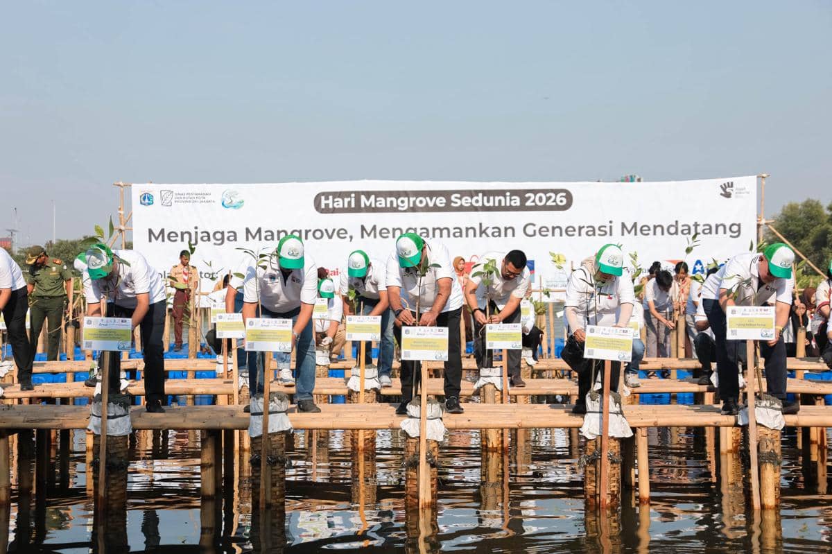 Pemprov DKI Jakarta, Rano Karno, menanam 24.310 bibit mangrove. (Dok. Pemprov DKI Jakarta)