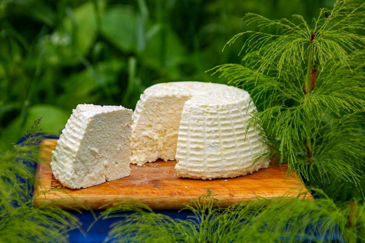 Potret soft cheese