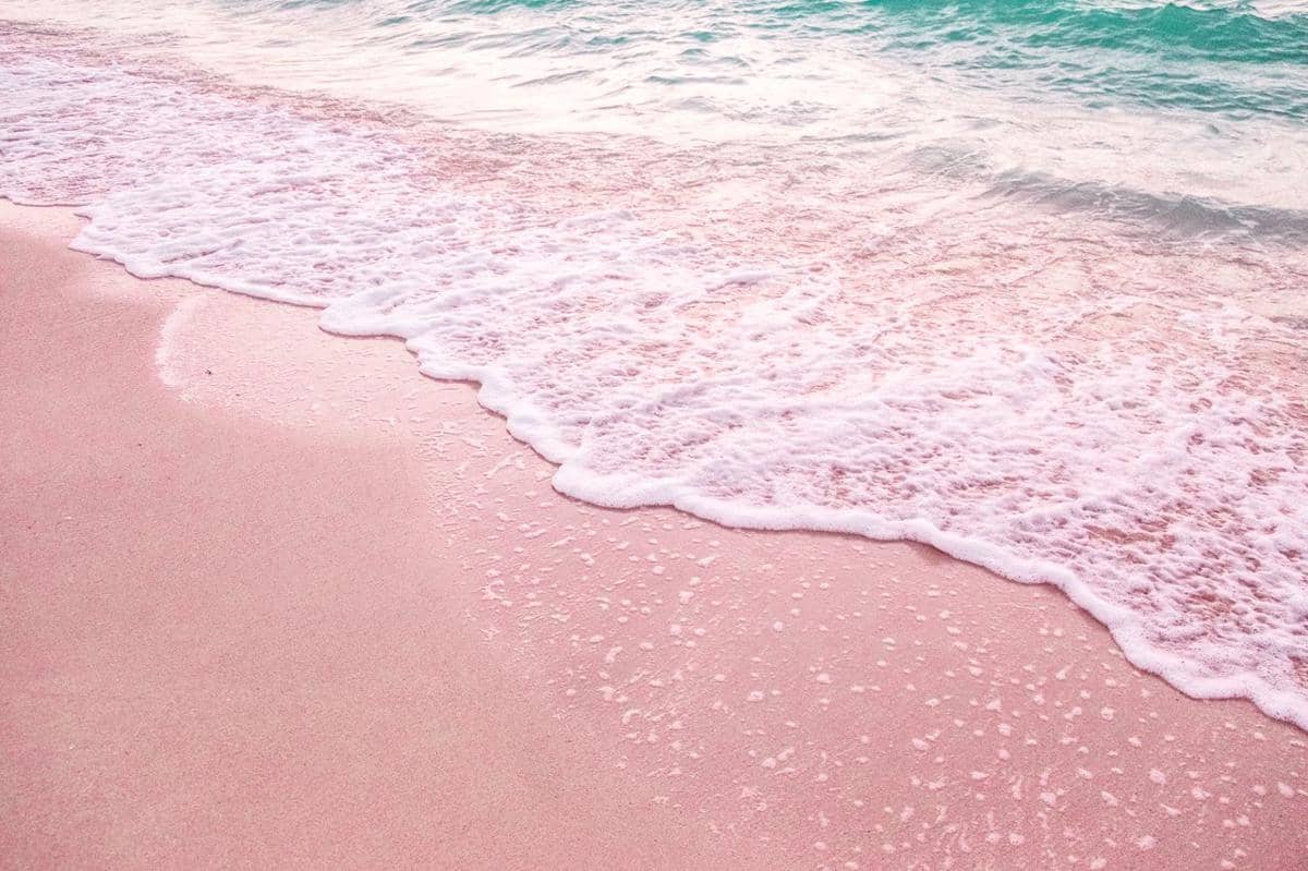 ilustrasi Pink Sand Beach