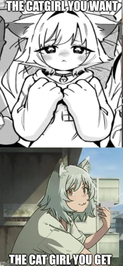 meme Chainsmoker Cat