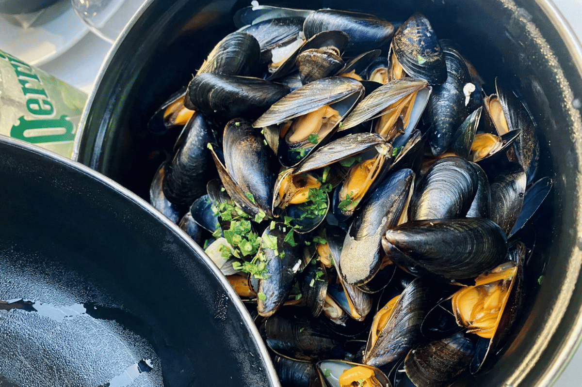 ilustrasi kerang hijau