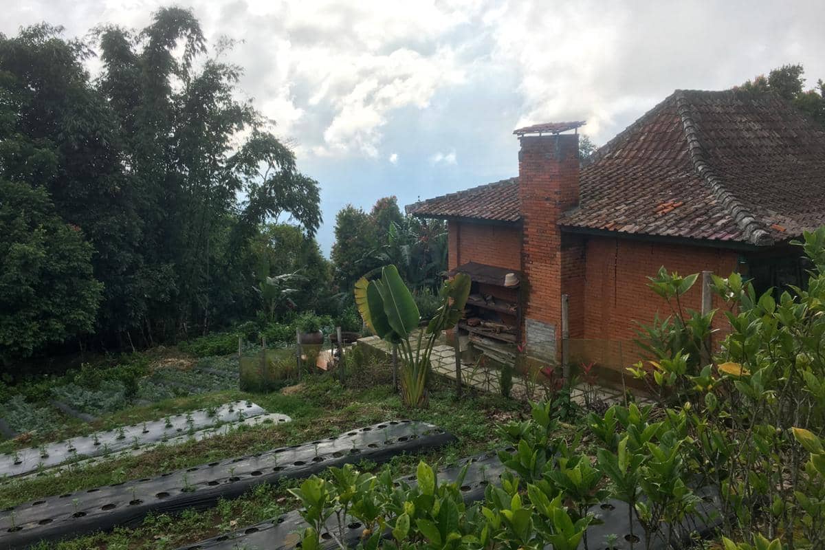 suasana di sekitar Munduk saat pagi hari (dok.pribadi/Natalia Indah)