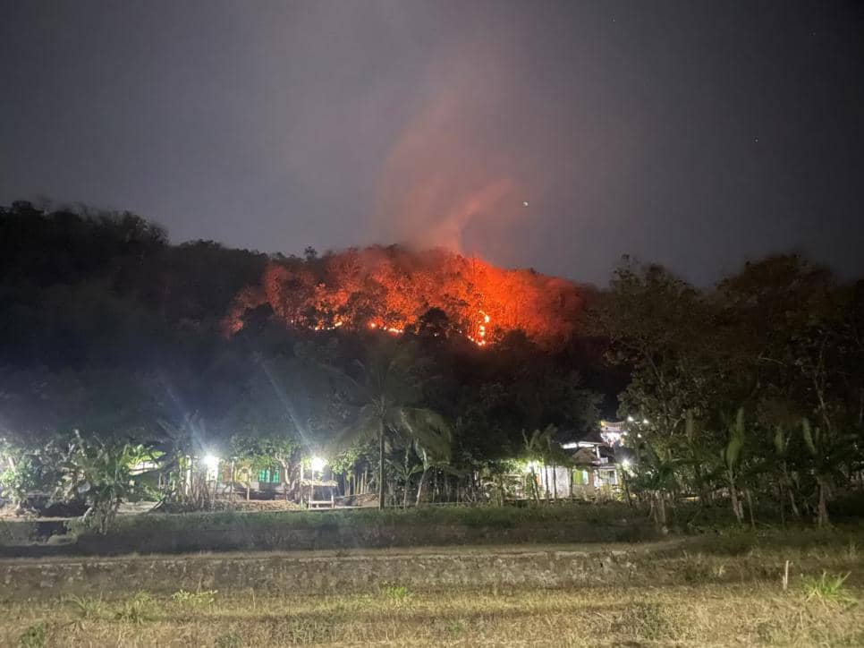 Kebakaran Hanguskan 8 Hektare Lahan Perbukitan Imogiri Bantul