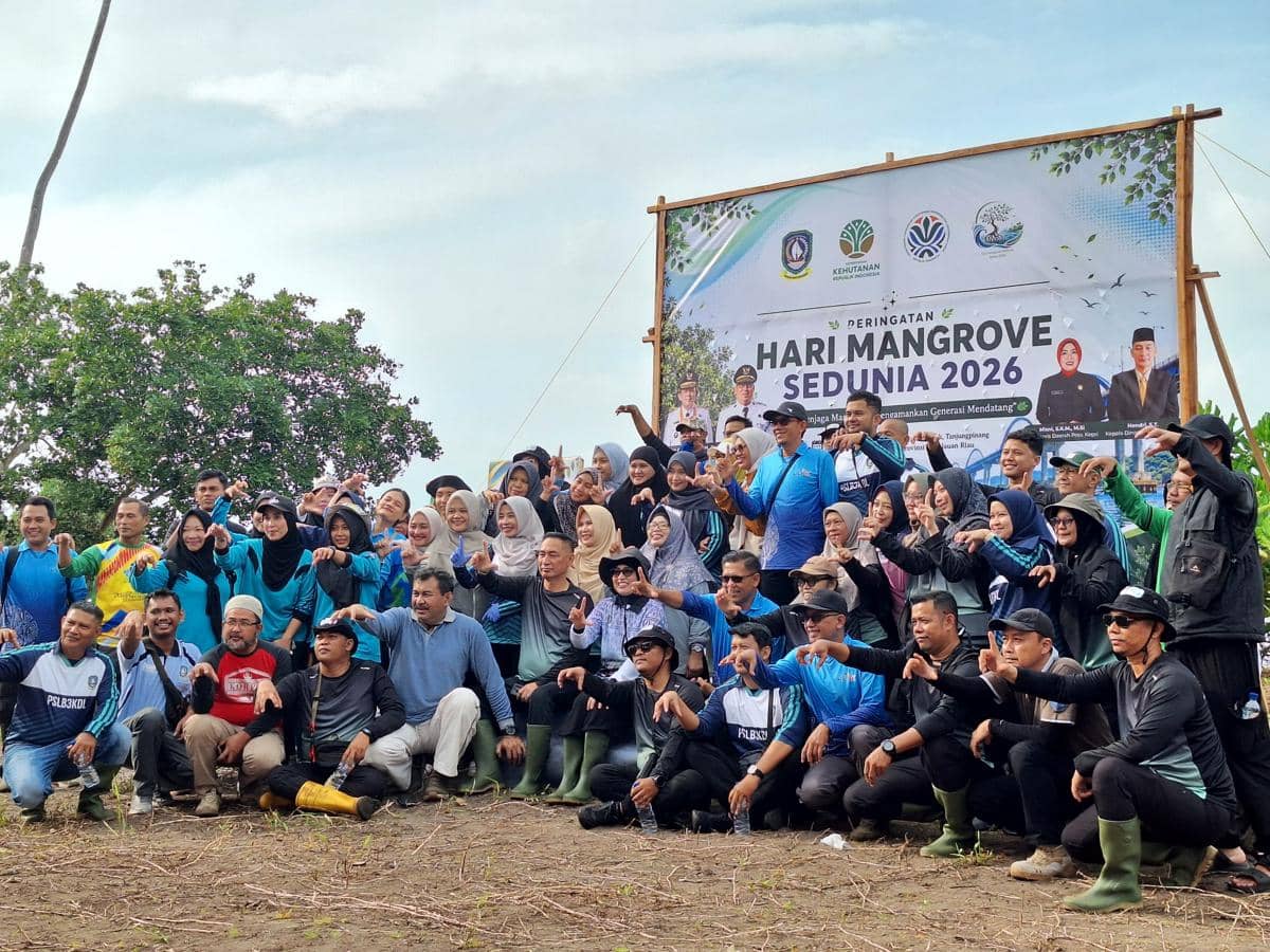 Dari Desa ke Pesisir, Berikut Deretan Pahlawan Mangrove 2026 