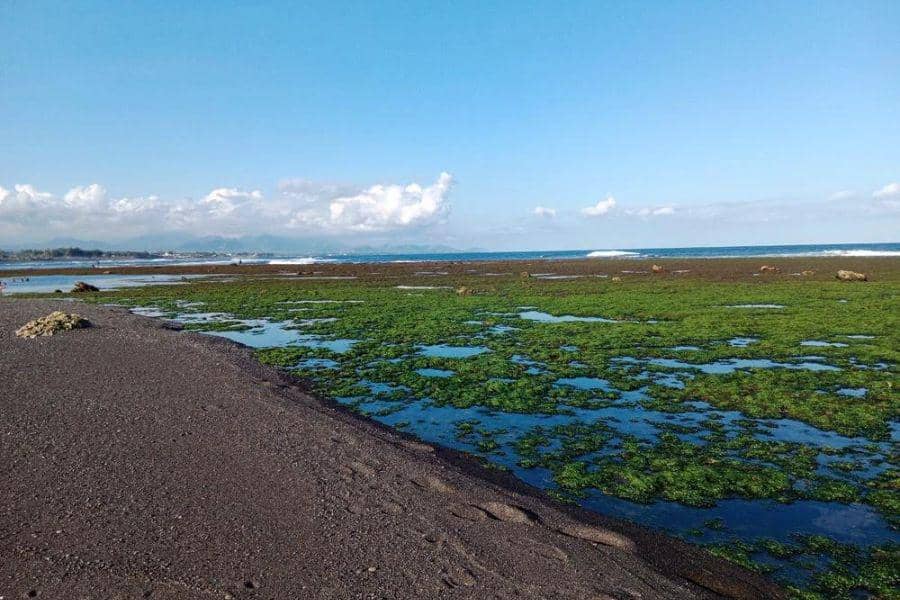 Pantai Saba, Bali