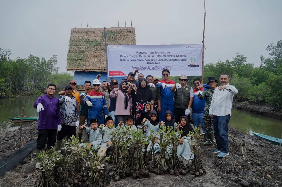 Peringati Hari Mangrove, Pertamina EP Pangkalan Susu Tanam 2.500 Bibit Mangrove