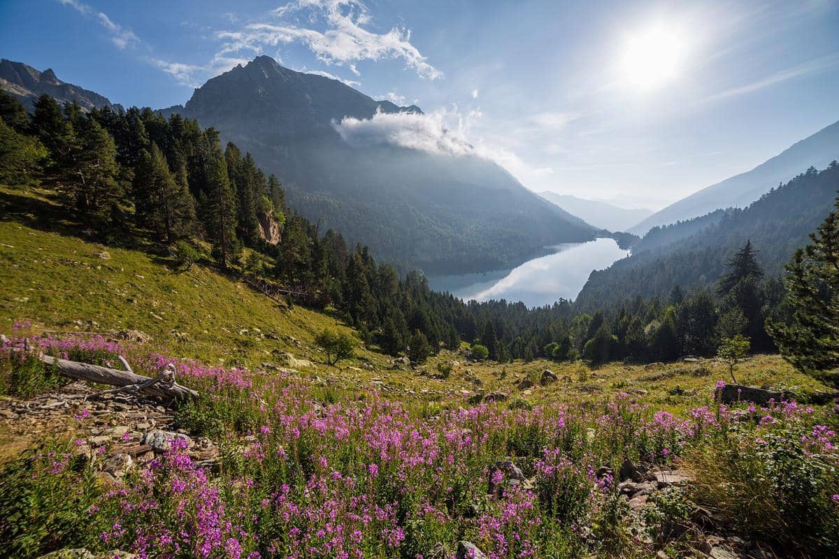 potret Aigüestortes i Estany de Sant Maurici