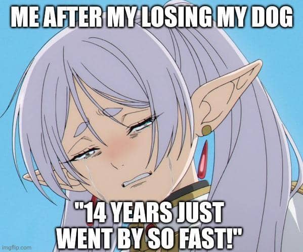 meme anime tentang pencinta anjing