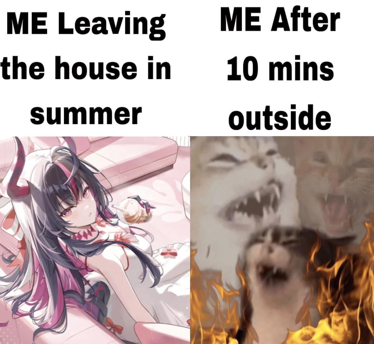 meme anime tentang musim panas