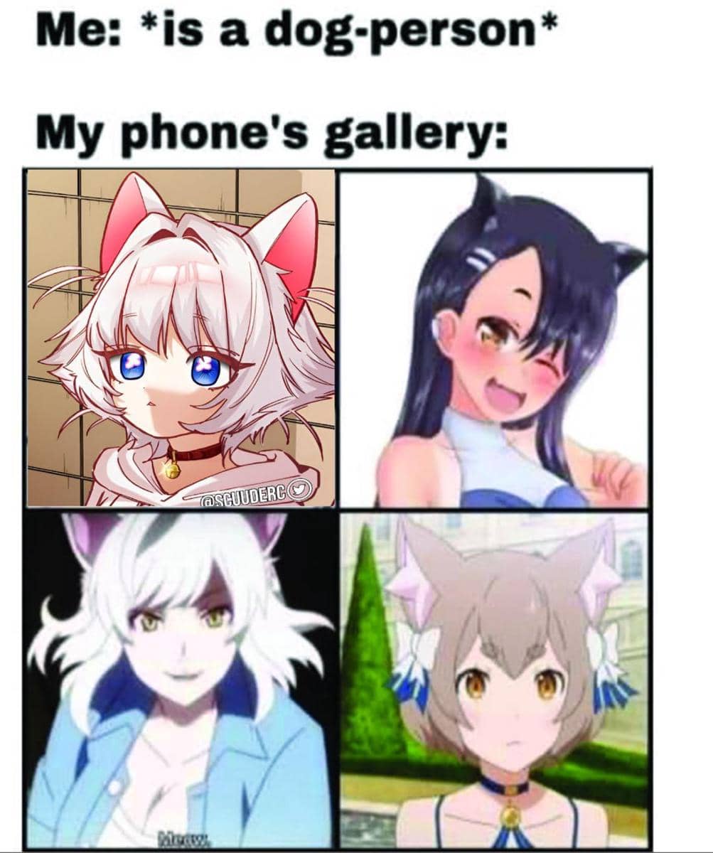 meme anime tentang pencinta anjing