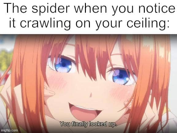8 Meme Anime tentang Plafon, Ada Kotori Ngintip dari Atas