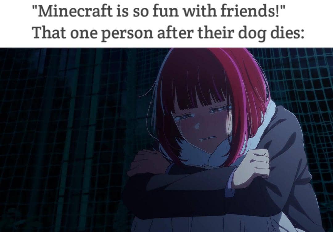 meme anime tentang pencinta anjing