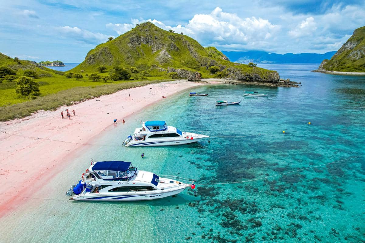 ilustrasi Pink Beach di NTT