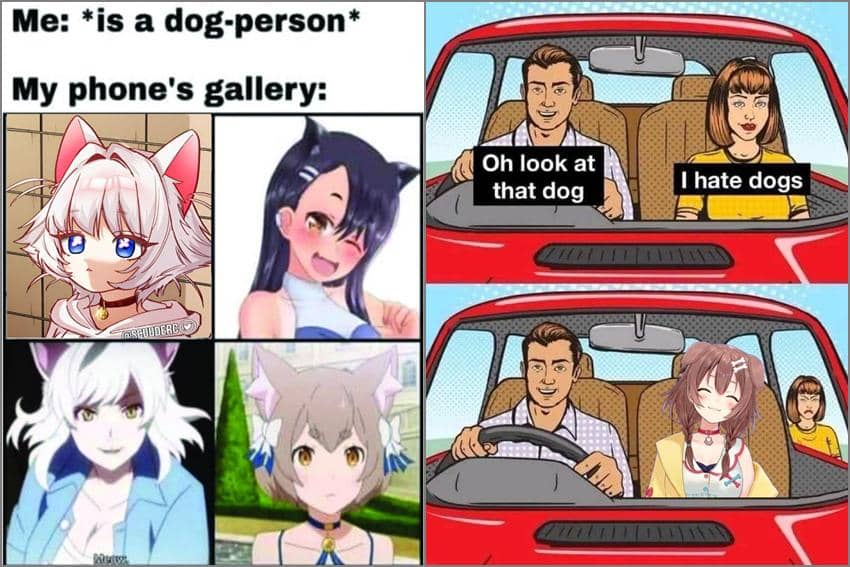 8 Meme Anime tentang Pencinta Anjing, Galeri HP Malah Cewek Kucing?