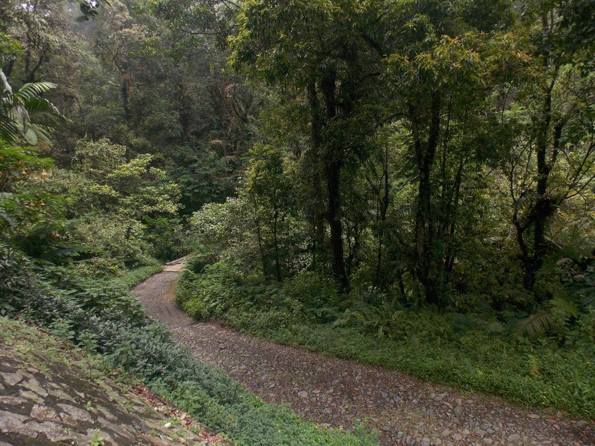 Taman Nasional Gunung Halimun Salak