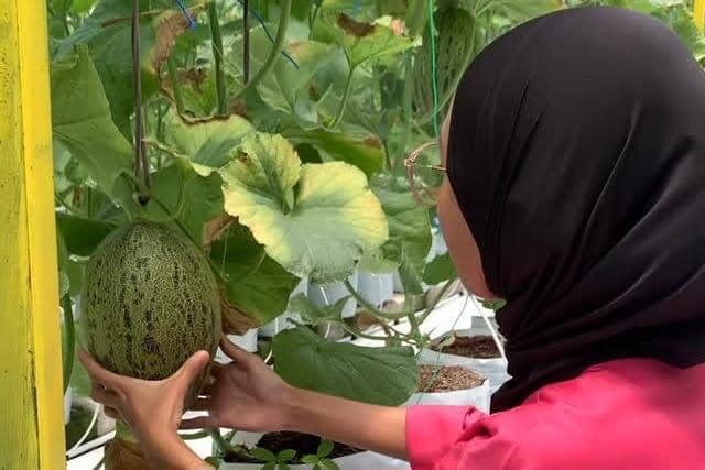 Binco Ran Indofarm