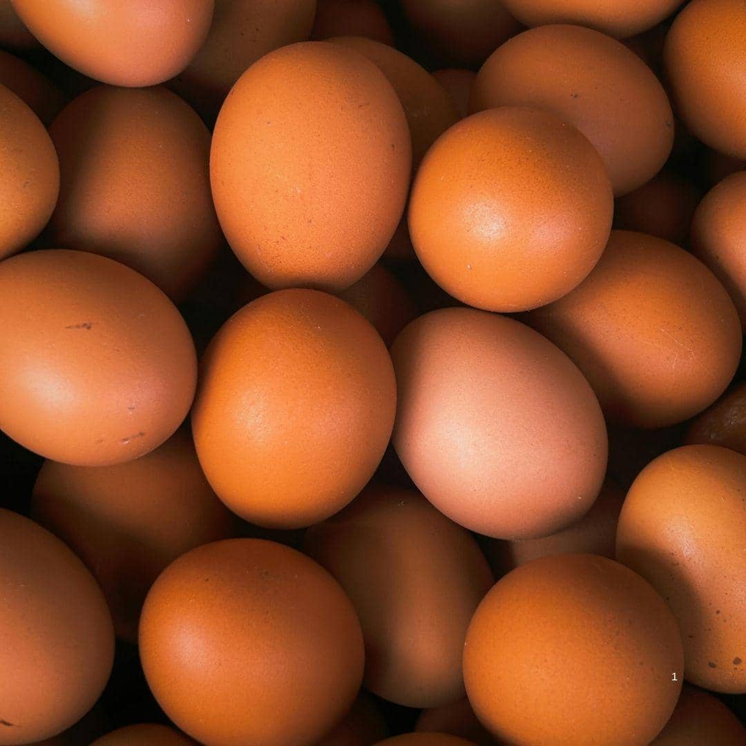 Telur