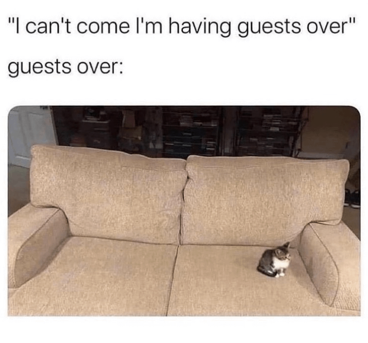 meme kucing tentang tamu