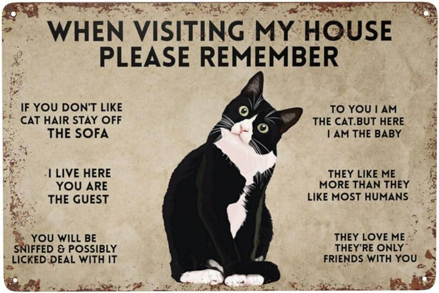meme kucing tentang tamu