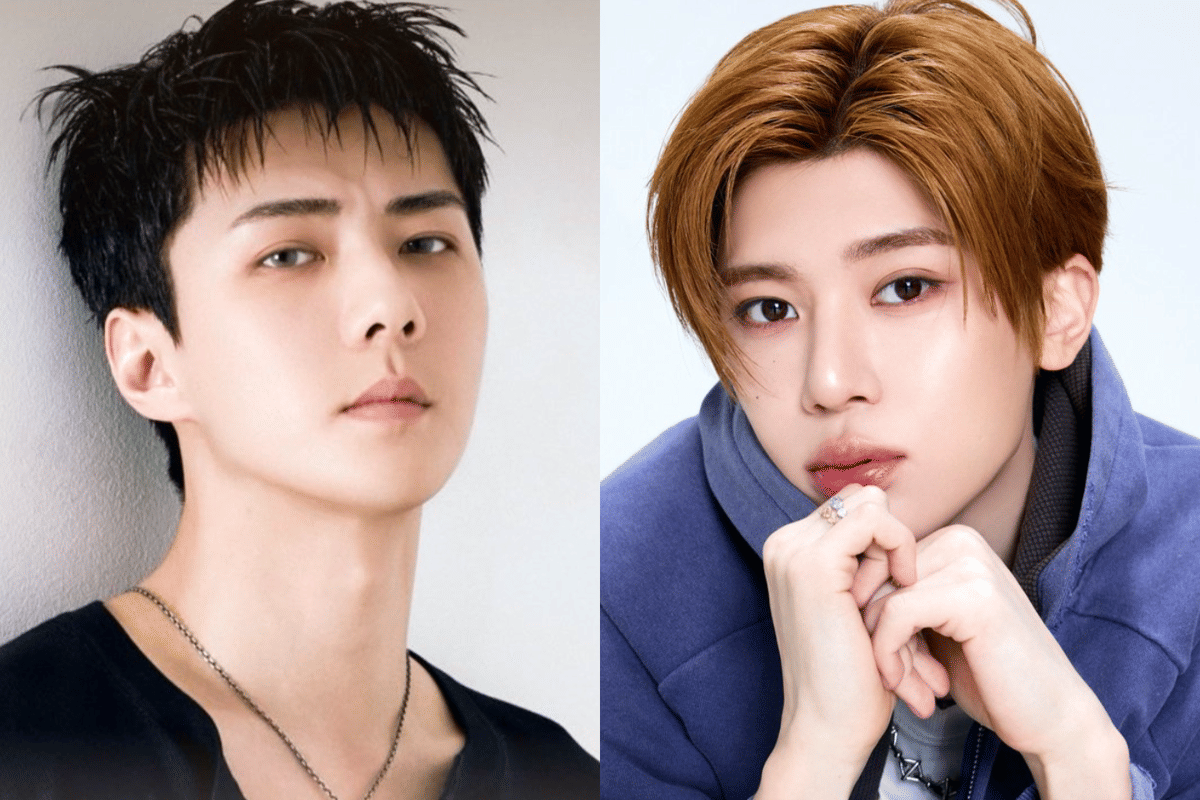 Lirik Lagu FADE - Sehun EXO dan Sion NCT dan Maknanya