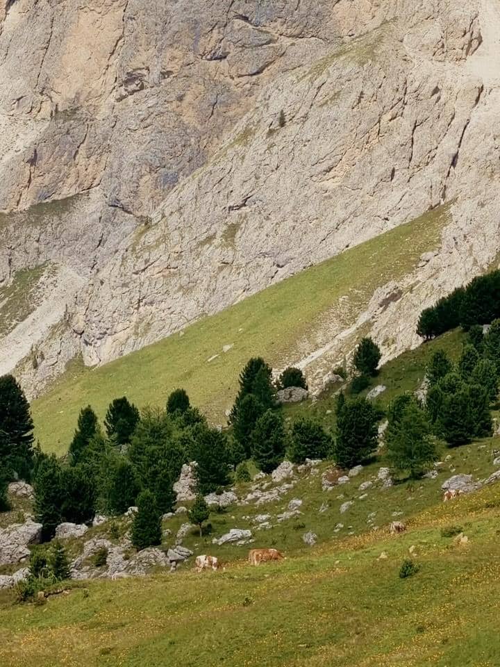 Natash Ryder menikmati alam Dolomites