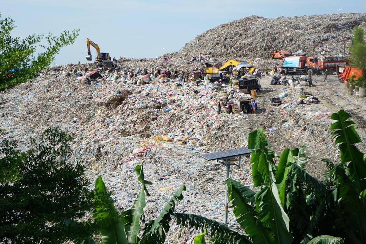 Pemulung mengumpulkan dan memilah sampah di kawasan TPA Terjun, dengan tumpukan limbah di sekitarnya.
