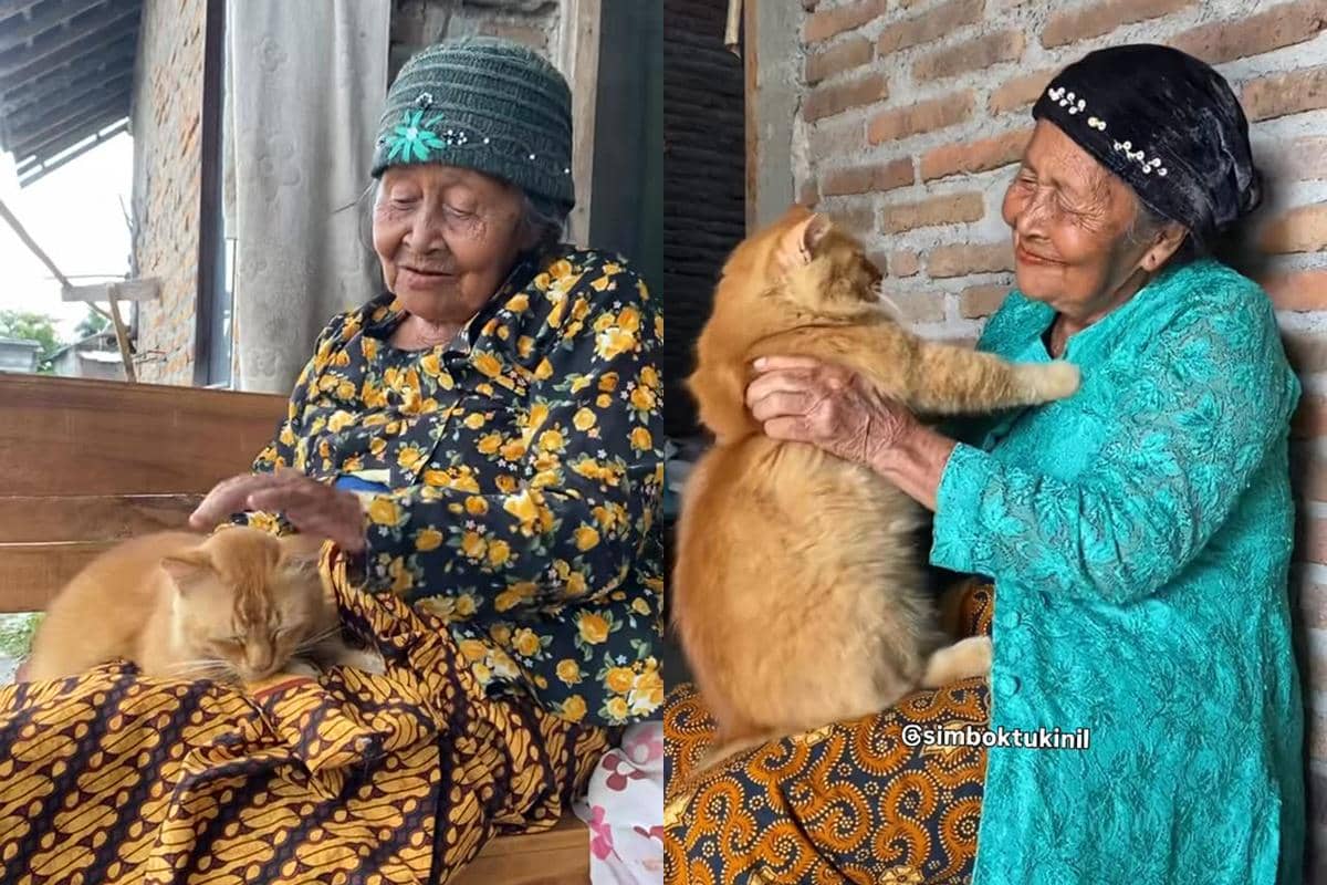 Kenangan Mbok Tukinil dan Yanto Kucing Viralnya yang Baru saja Mati